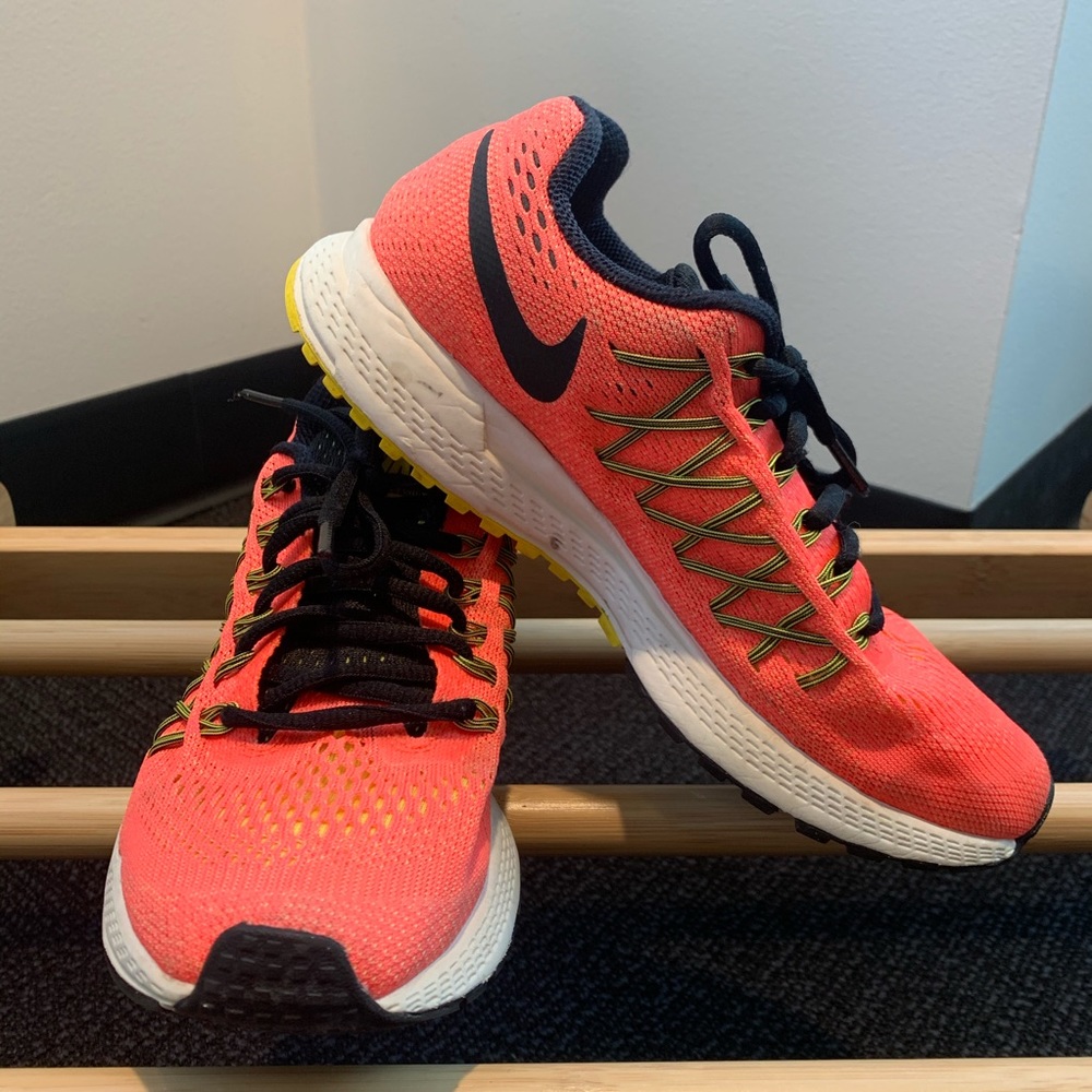 Nike Pegasus